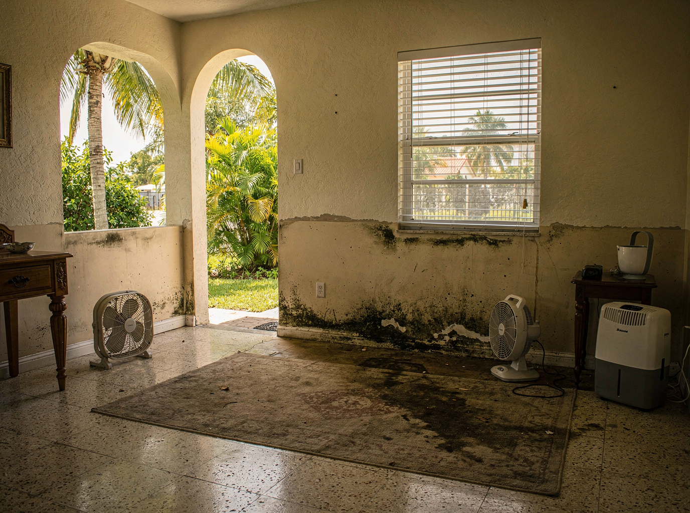 Mold Risks After Summer Floods In Coral Gables Homes